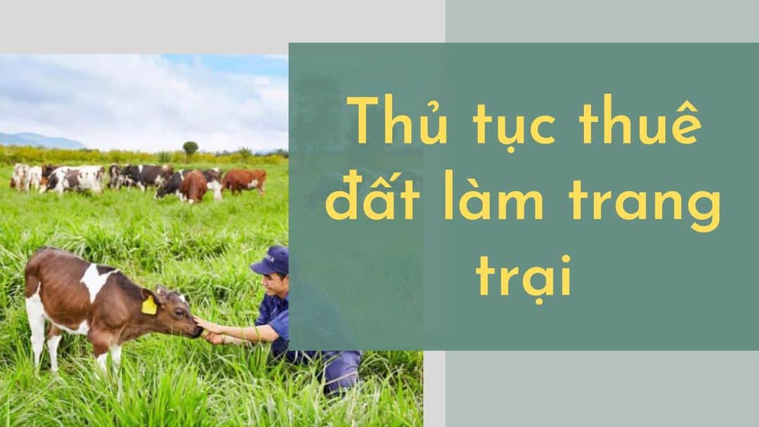 quy định về đất trang trại