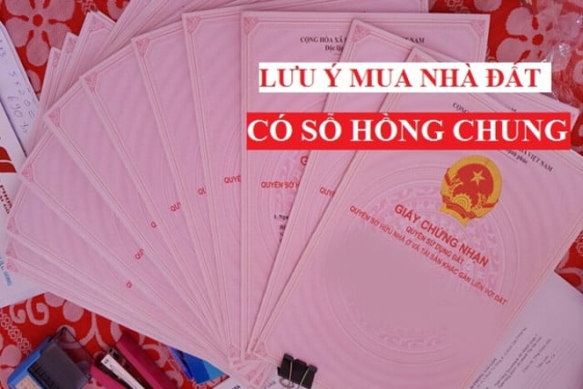 Lưu ý mua nhà sổ chung